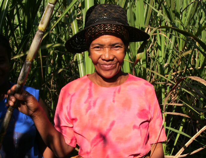 Productrice malgache canne Ã  sucre coopÃ©rative PAACO -  Sucre complet de canne